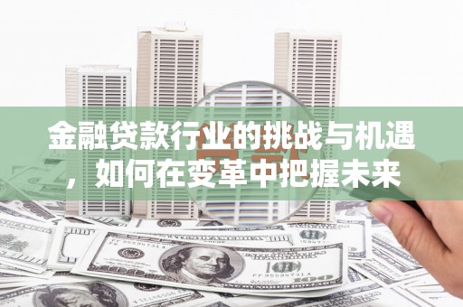 临海金融贷款行业的挑战与机遇，如何在变革中把握未来