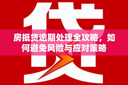兰陵房抵贷逾期处理全攻略，如何避免风险与应对策略